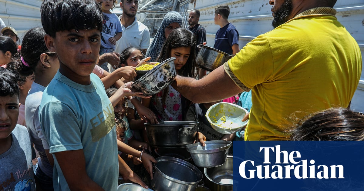 IDF accused of ‘field execution’ of Palestinian driver bringing aid into Gaza | Gaza