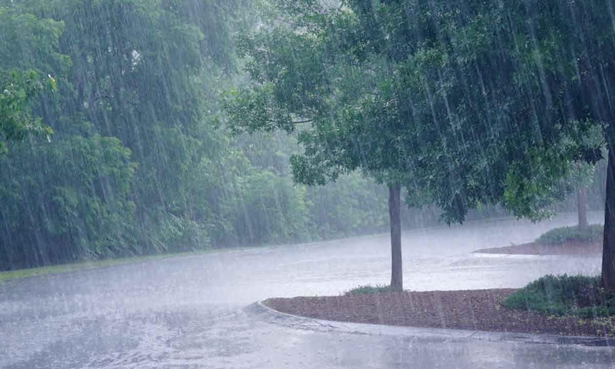 IMD predicts rains in AP for next two days amid surface trough