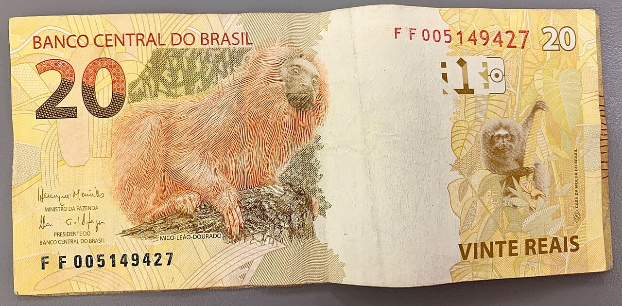 IMF Urges Brazil to Cap Household Debt Payments at 40% of Income