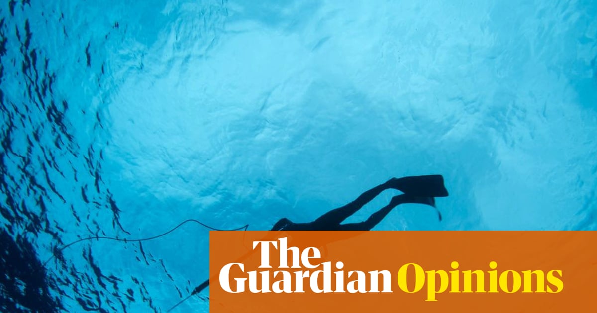 In my years of spearfishing, I’ve never encountered more sharks than now. But I know where I stand in the underwater pecking order | Clarke Gayford