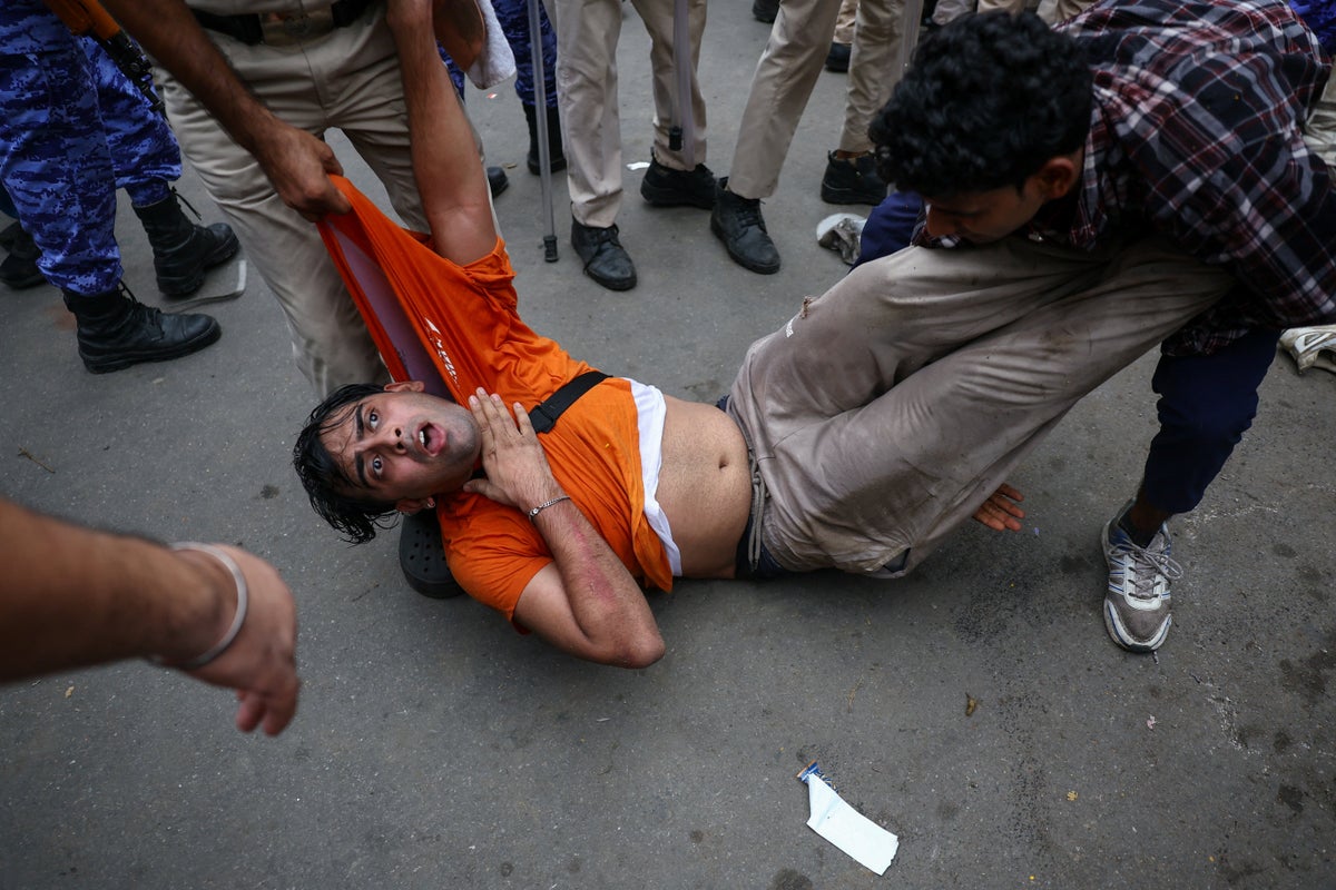 India’s ‘cockroach’ party clashes with police using batons and tear gas in New Delhi