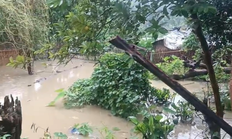 Indo-Bangla joint action may bring sustainable solution to border town flooding: Tripura official