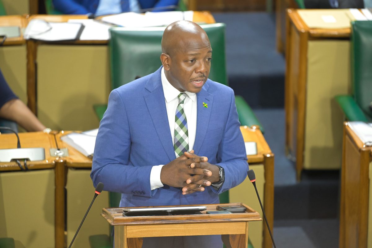 Integrity Commission cautioned against turning prosecution into persecution