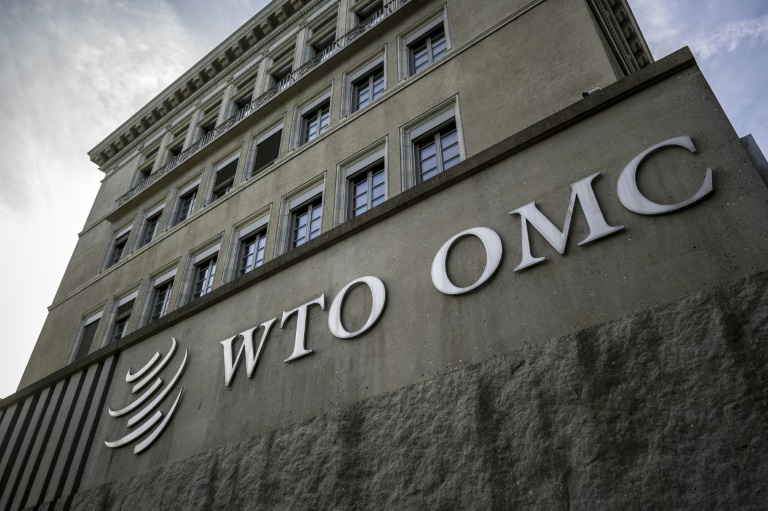 Iraq accelerates journey towards WTO membership