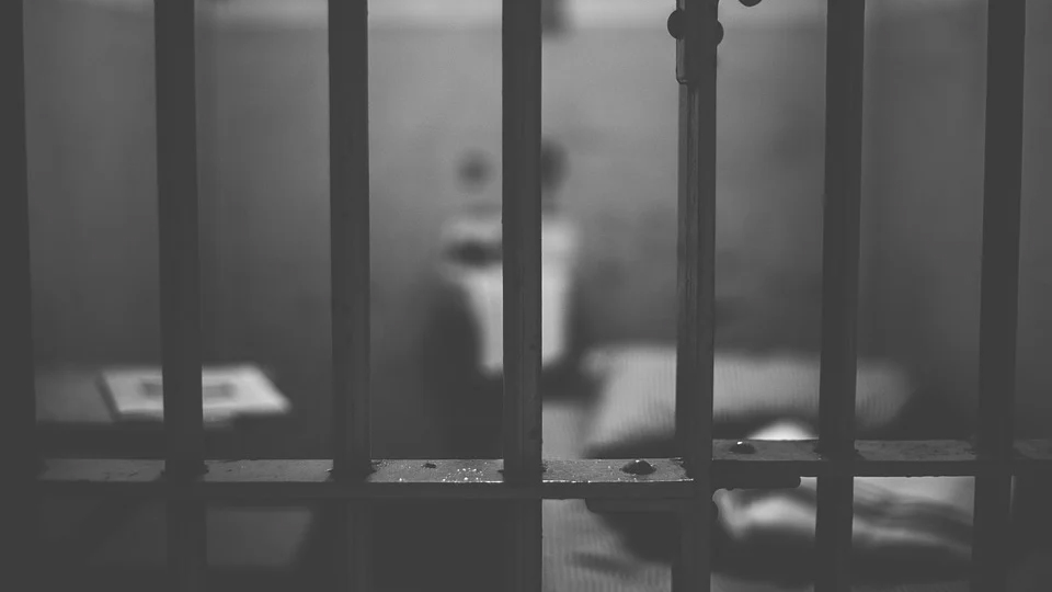Irish national jailed for murder of woman in Hungary