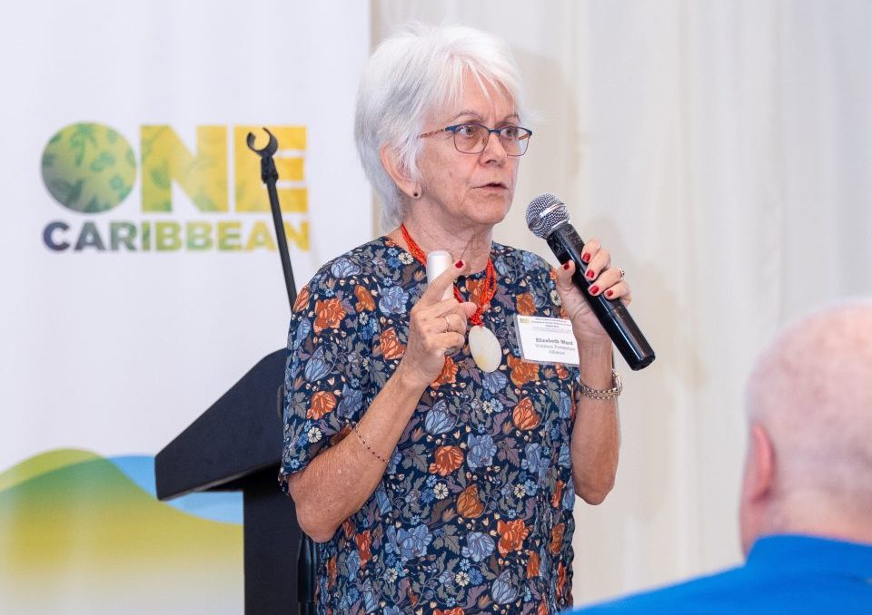 JCF, IDB partner to tackle domestic & sexual violence