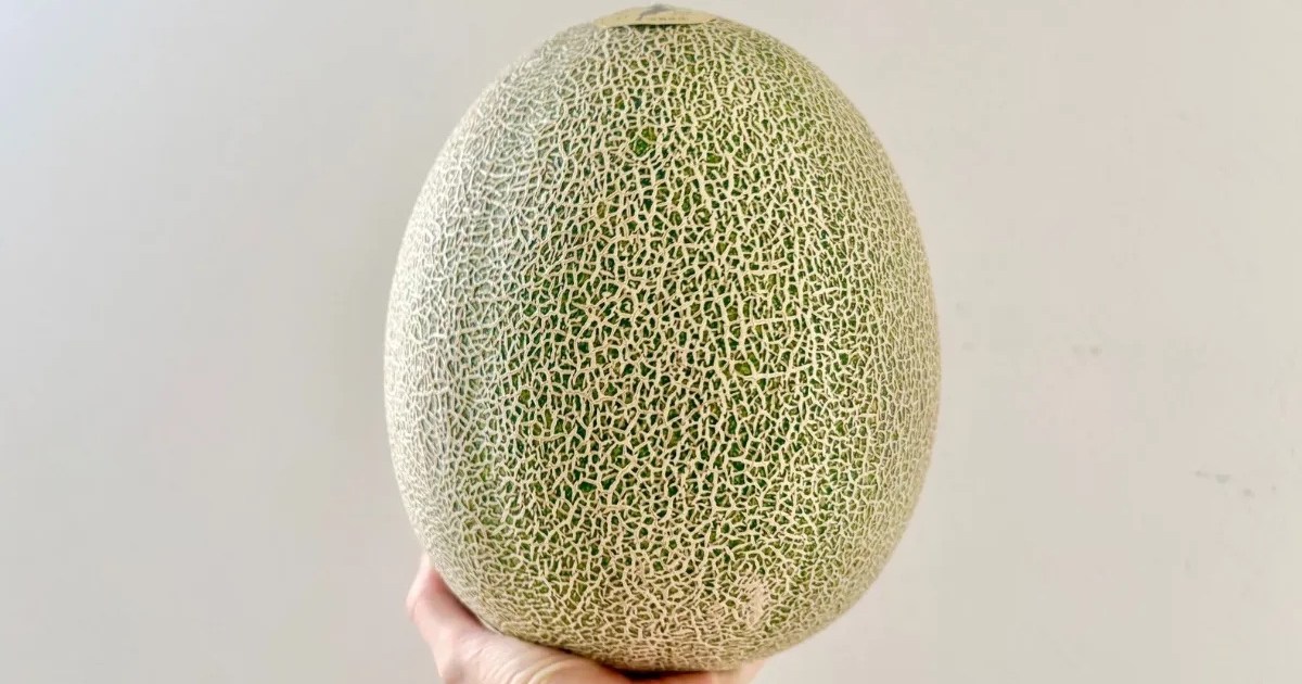 Japan’s expensive “phantom” melon is so exquisite it sells out in just 12 hours