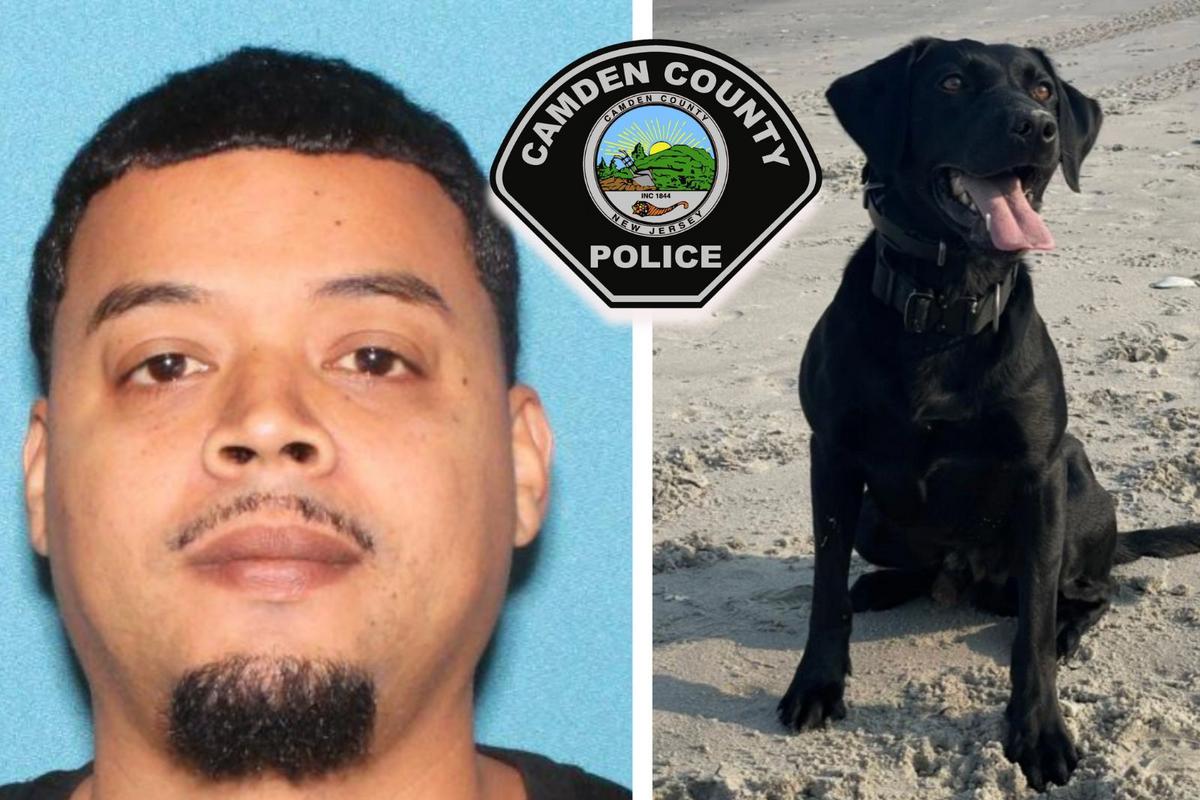 K-9 helps crack Camden TikTok attempted child exploitation case