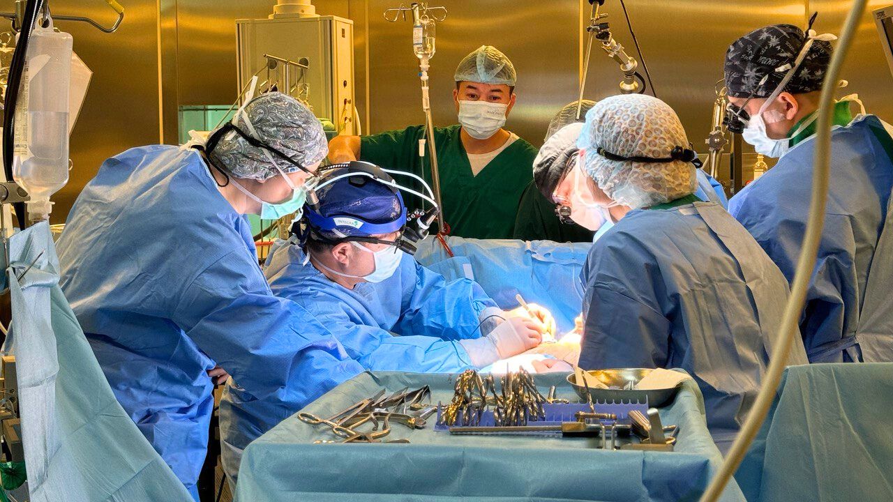 Kazakhstan Strengthens Organ Donation Awareness as 4,739 Patients Await Life-Saving Transplants