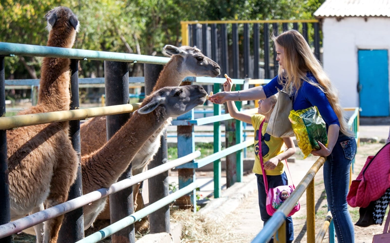 Kazakhstan's Zoos Welcome 2.6 Million Visitors, Generate Record $5 Million