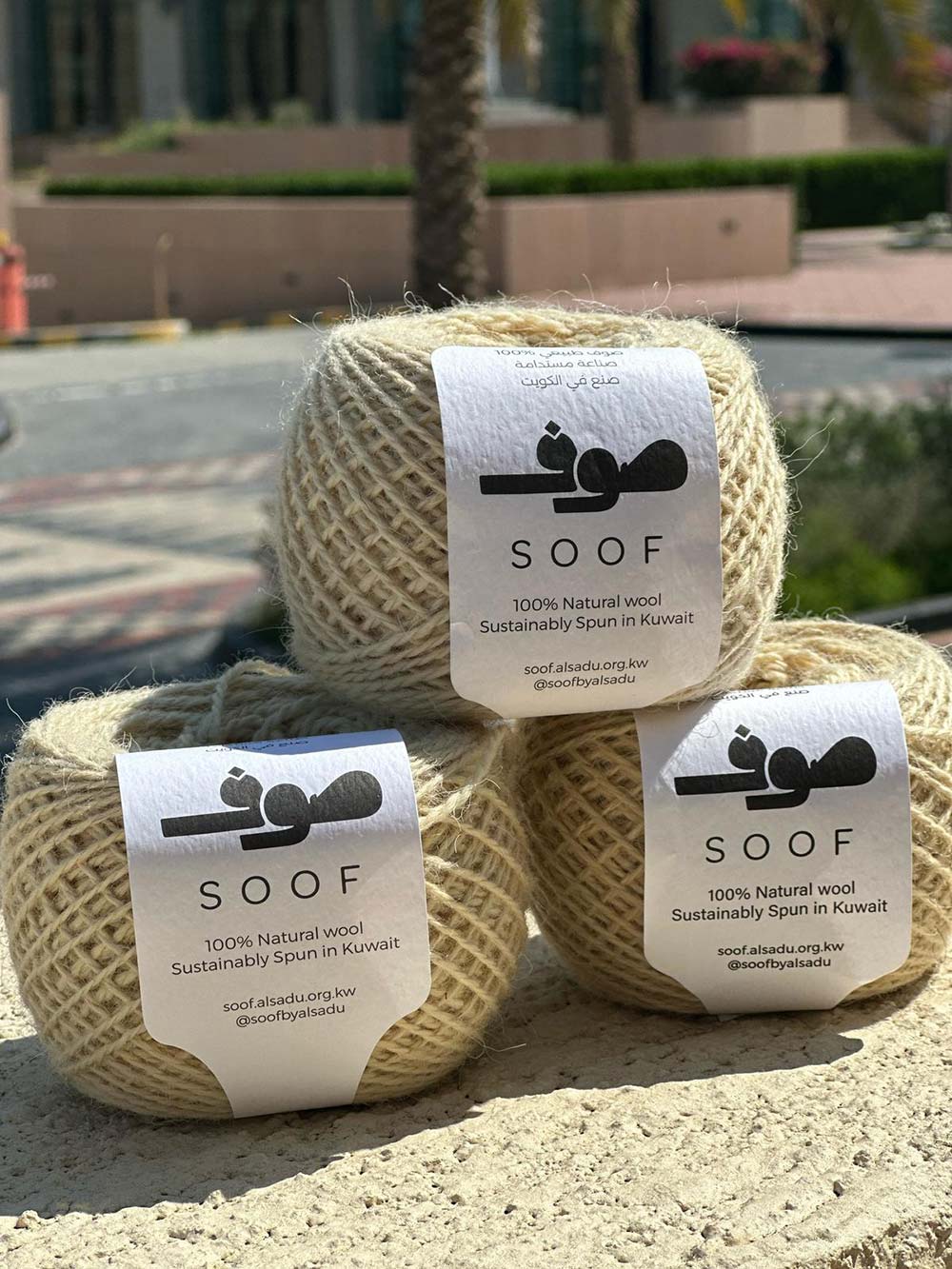 Kuwait's 'Soof' Center wins 2026 Regional Energy Innovation Award