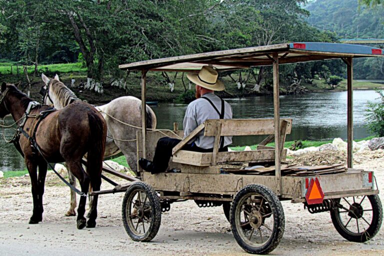 Land records reveal how Mennonites are reshaping Belize’s forests
