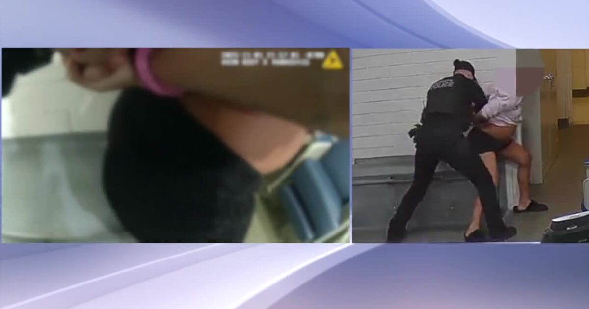 Lawsuit filed against Buckeye officer seen in video hitting pregnant woman