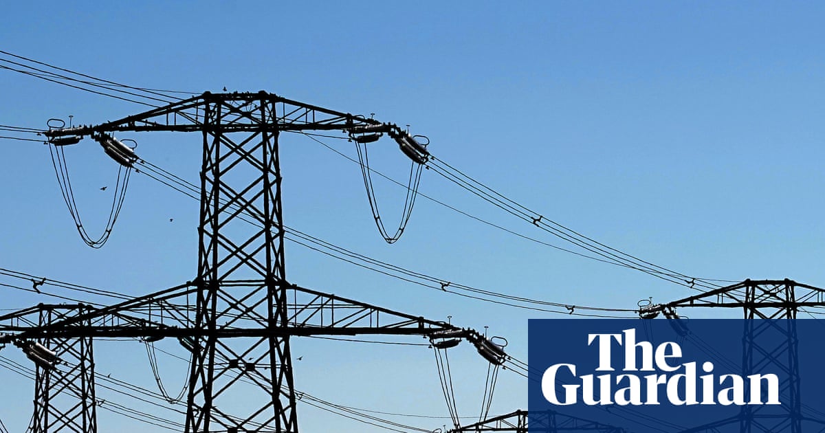Lawyers to investigate claims of GB power grid cover-up over blackout risk | Energy industry