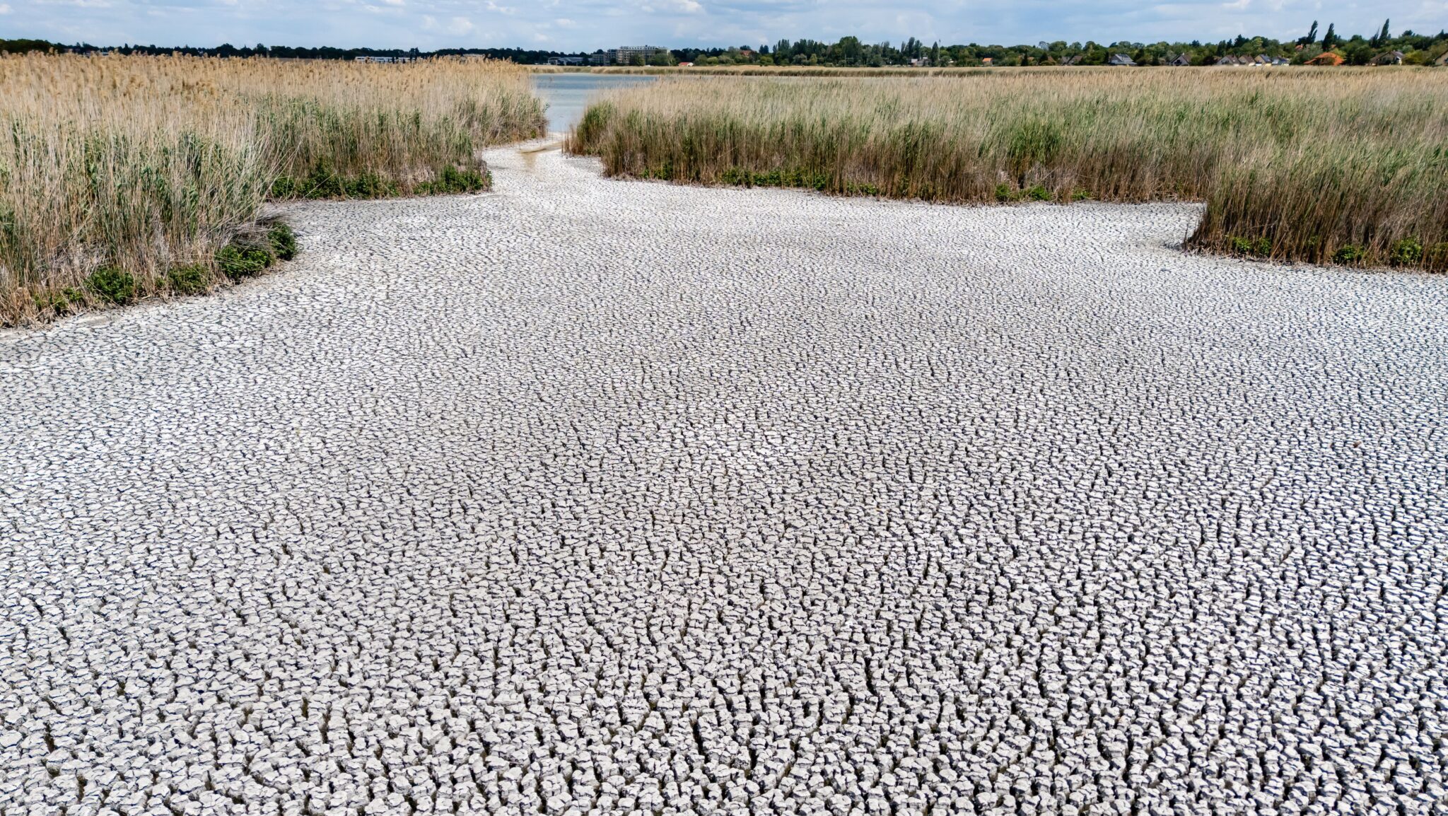 Left High and Dry: Drought Exposes Central Europe's Water Crisis