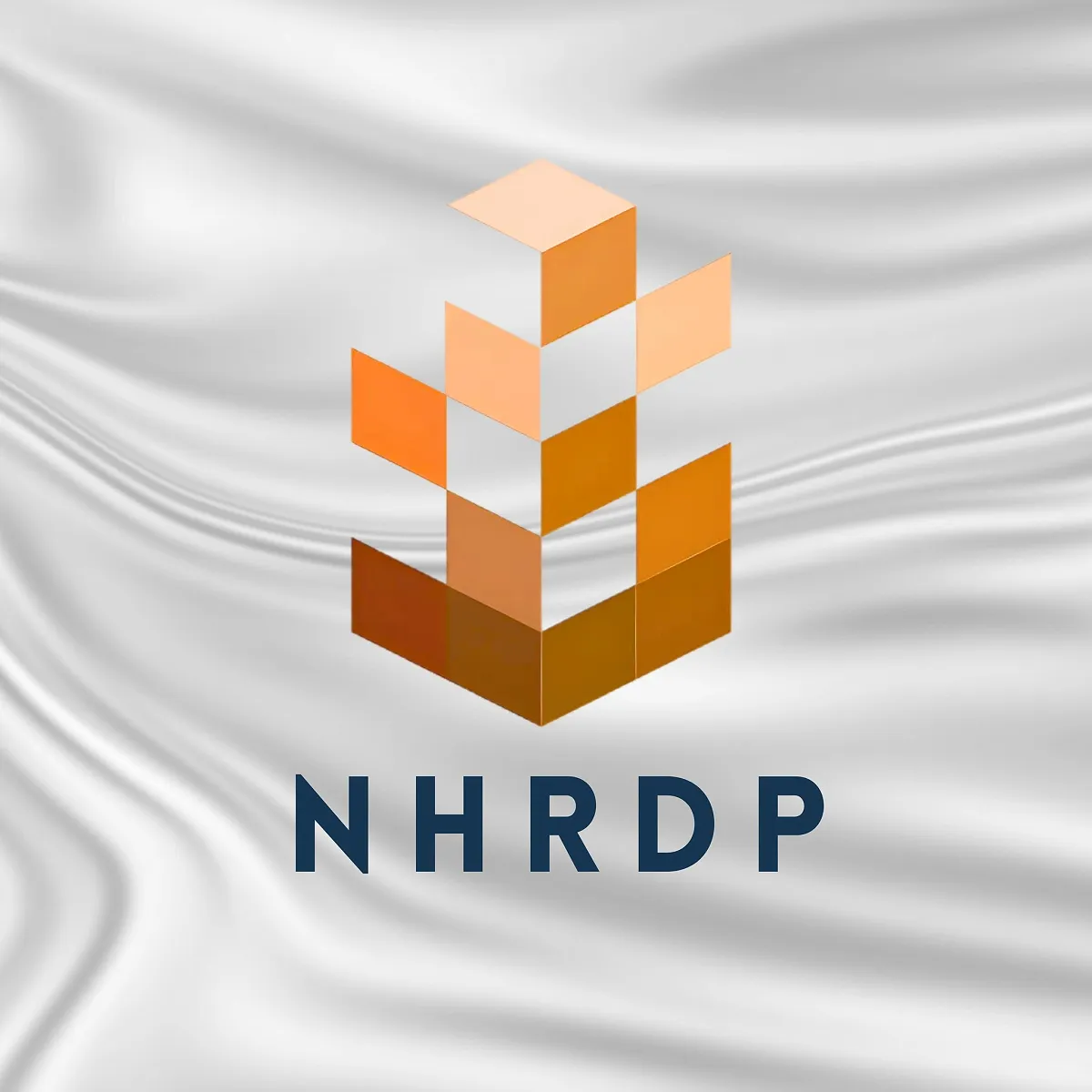 Libya's NHRP Engages Private Sector for Housing Development Projects