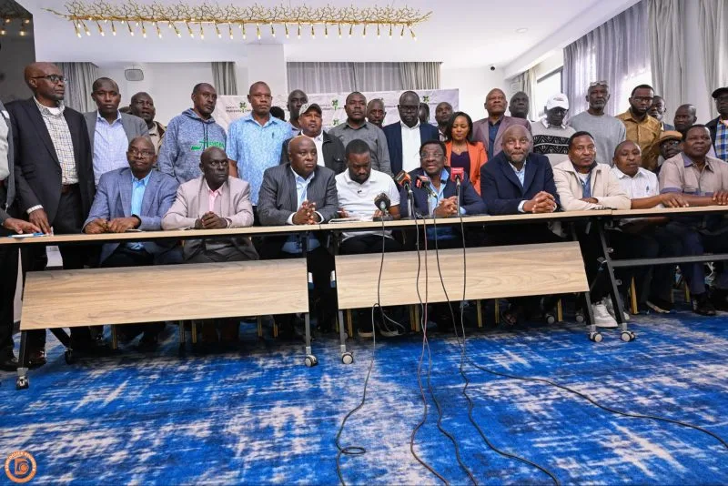 Linda Mwananchi camp concedes defeat in battle for ODM, says party has been captured