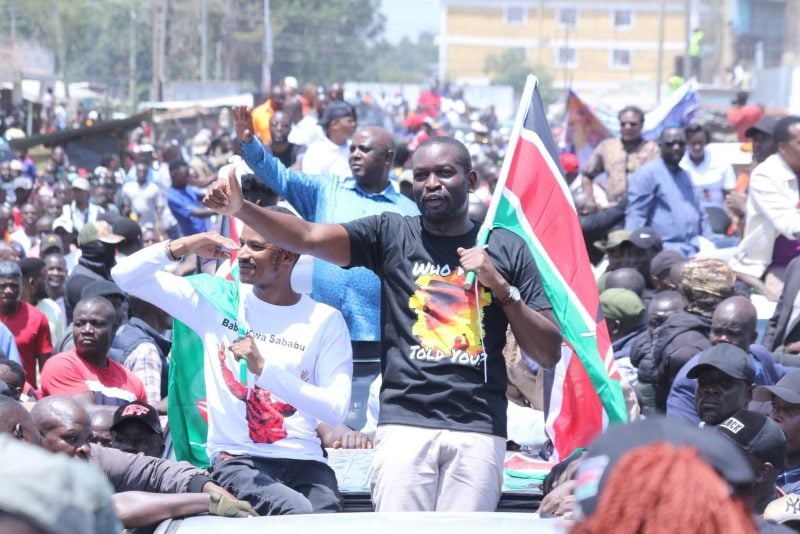 Linda Mwananchi accuses Ruto of turning Kenya into a ‘mafia nation’