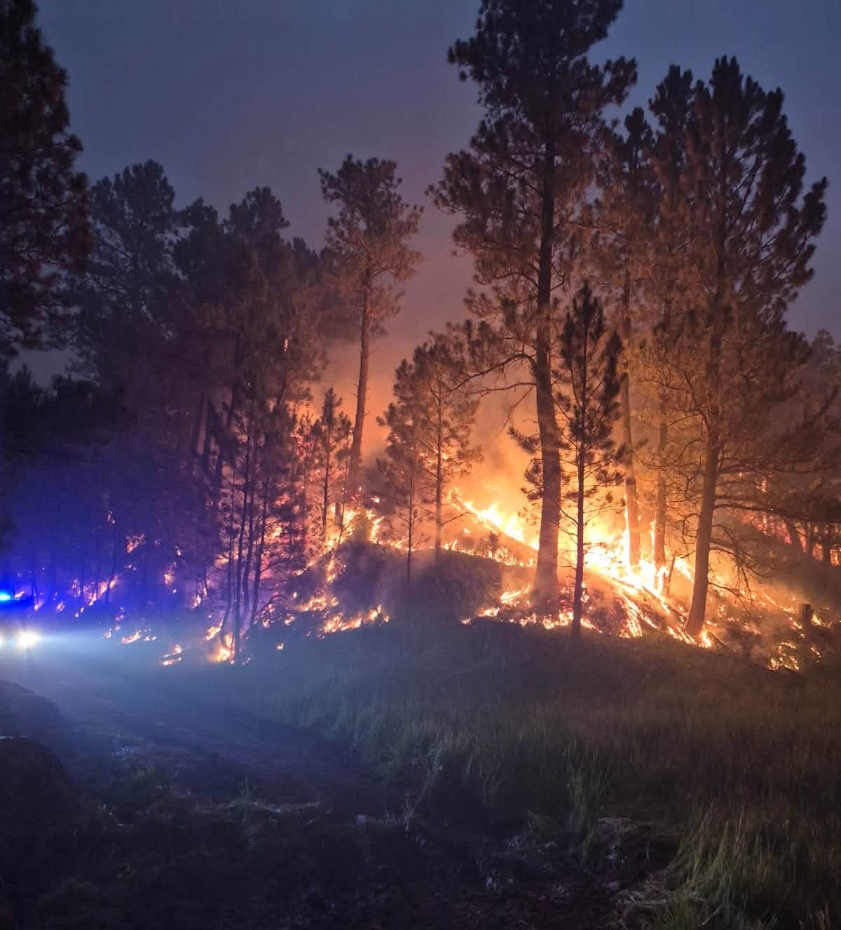 Log Road Fire Consumes 1,500 Acres