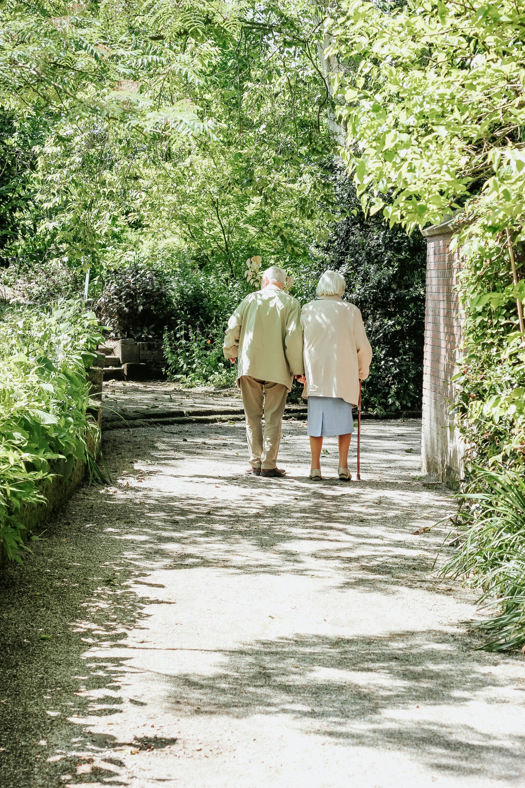 Madeira establishing statute of older people in the Portugal archipelago