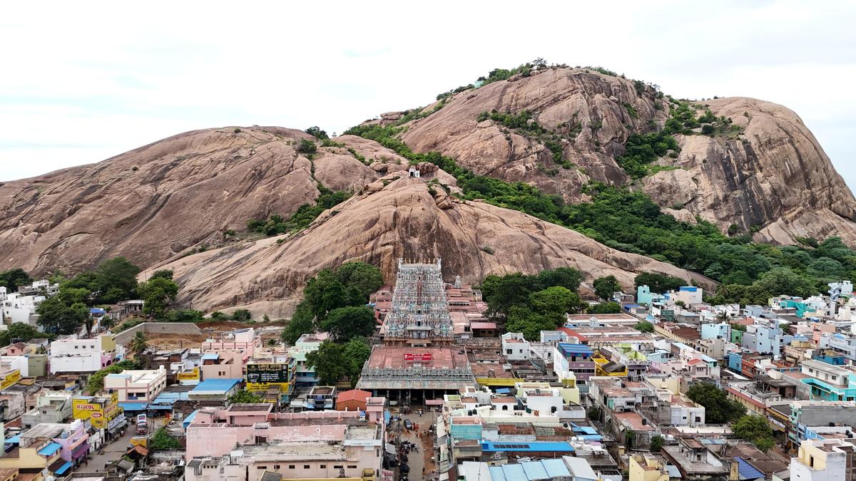 Madras High Court grants time to the authorities to submit the report on joint survey of Thirupparankundram hill