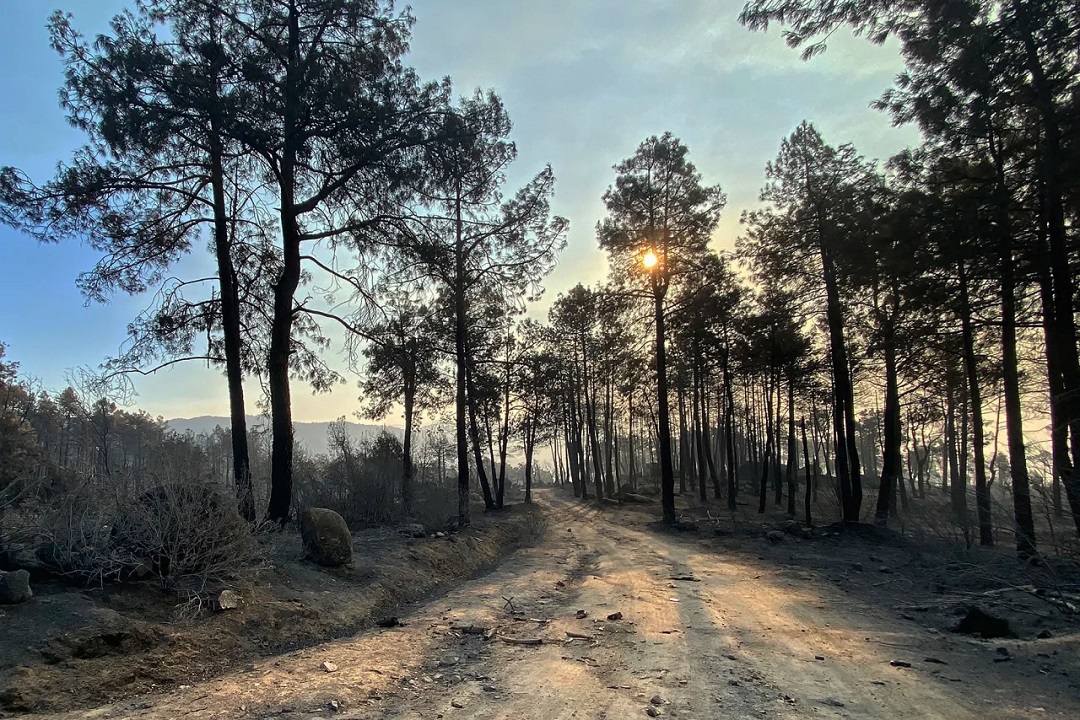 Madrid wildfires advancing more slowly but remain “uncontrolled,” authorities say