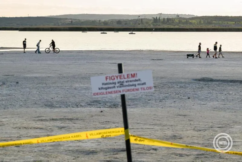 12-point plant to save lake velence water drought