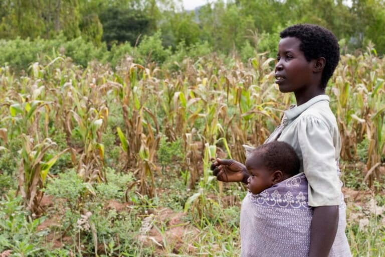 Malawi agroecologists see opportunity in Gulf fertilizer supply disruption