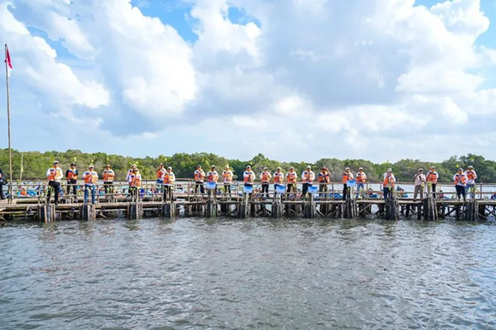 Managing Vast Mangrove Forests, Kemenhut Bolsters Coastal Rehabilitation, Local Economies - OBSERVER