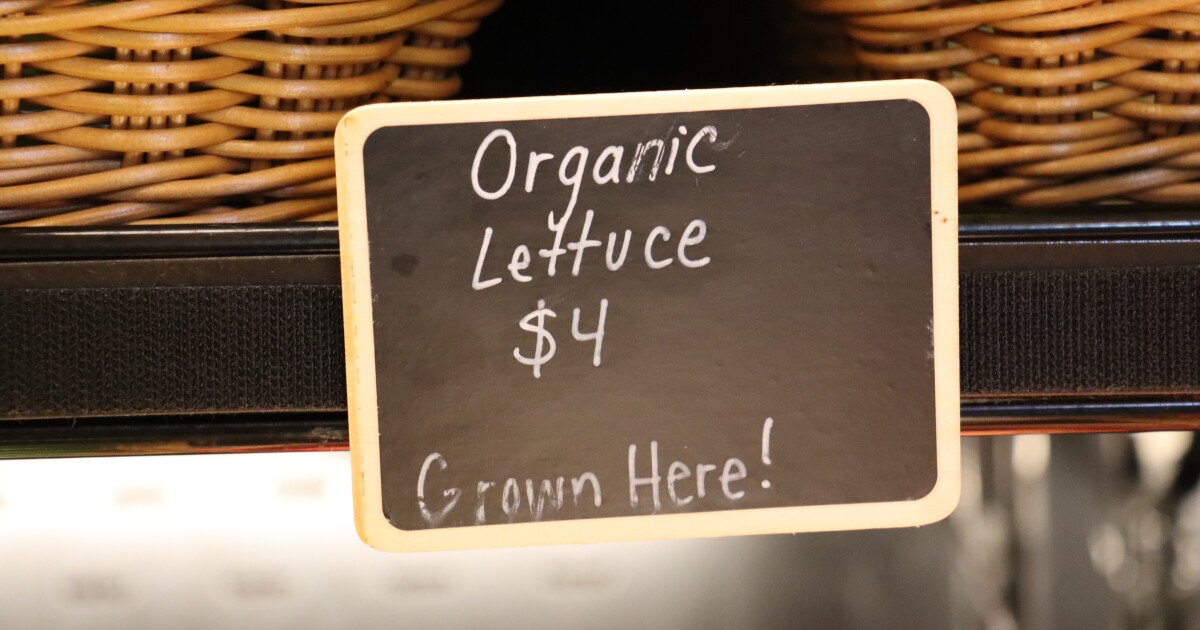 Many NH customers turn to local farms for lettuce amid cyclospora outbreaks