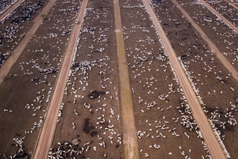 Meat giant JBS silently ditches bolder environmental targets in latest review