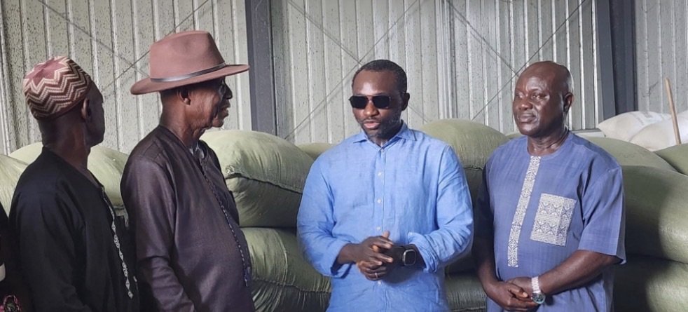 Minister Kpaka harvests improved seed rice at Njala
