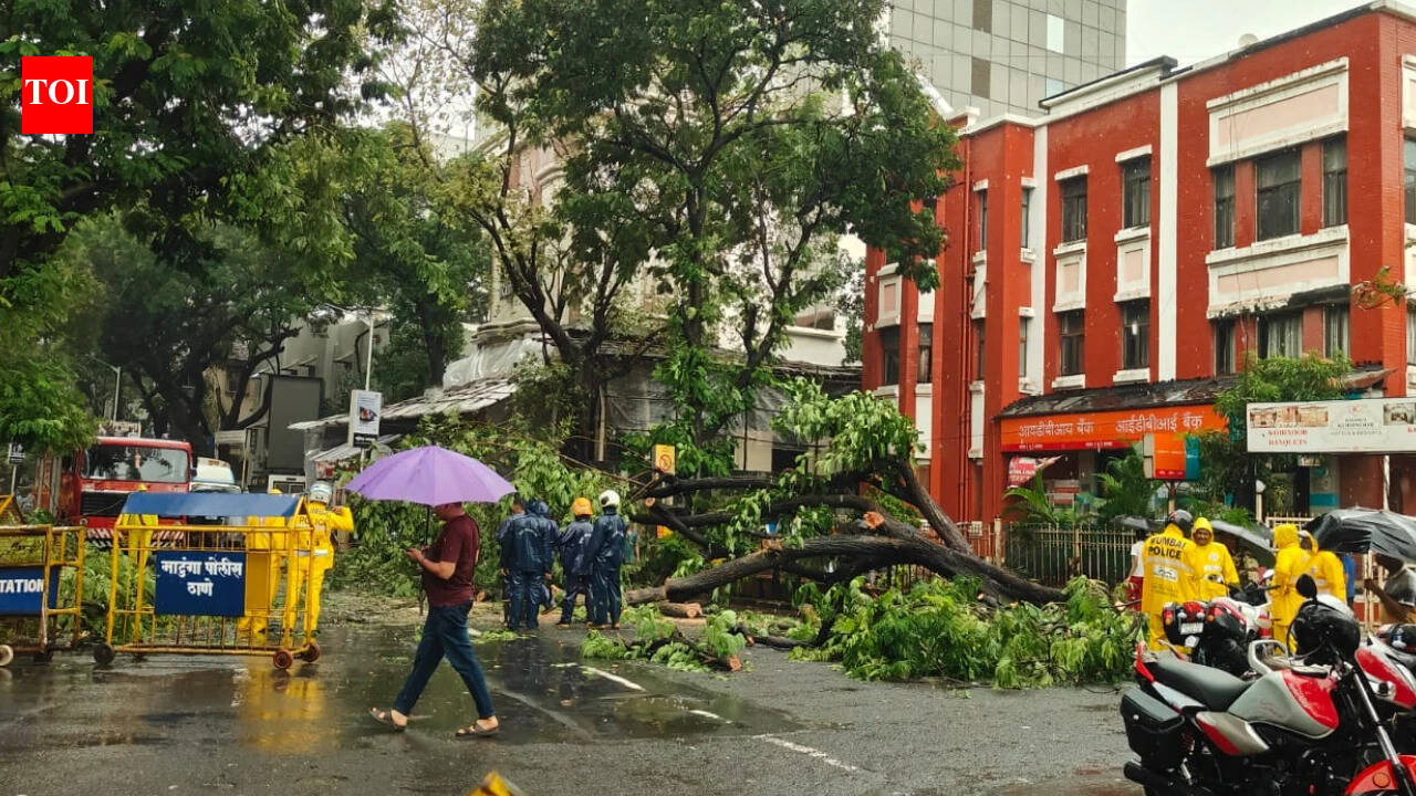 Monsoon mayhem: South Bombay sees wettest July day in 50 years; house collapse, tree falls claim 8 lives | Mumbai News