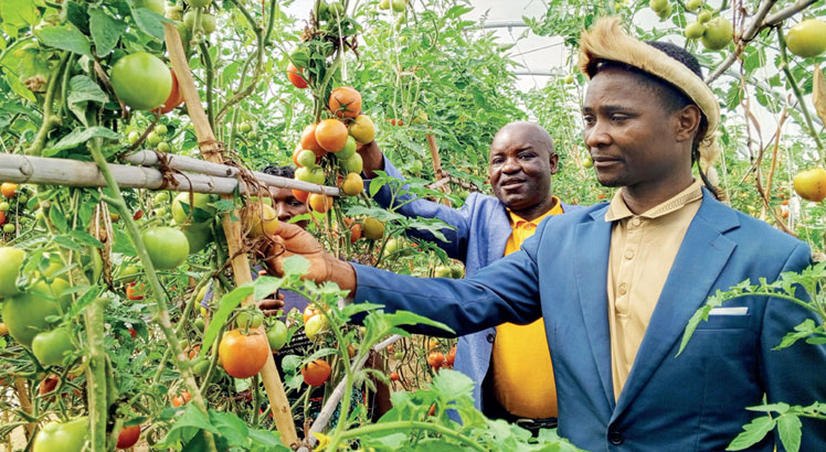 Mzimba farmers advised to embrace green house tech