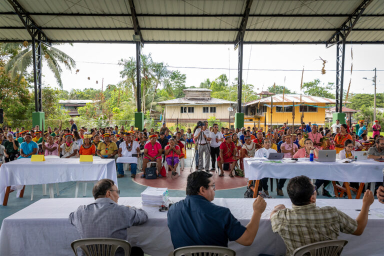 NGO support can negatively impact allocation of Amazonian territorial rights, research finds