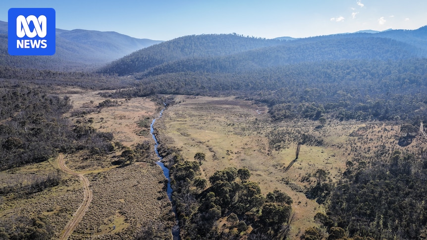 Namadgi National Park shows signs of climate change as rangers intervene