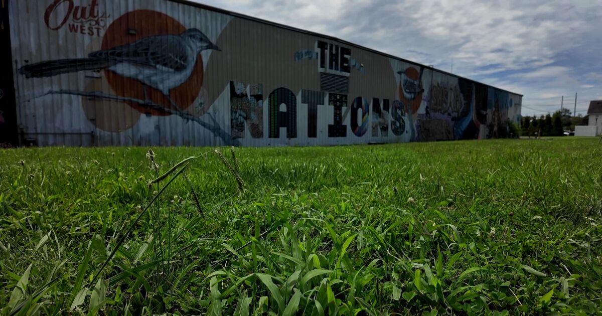 Nashville's The Nations residents fight to save mural in redevelopment debate