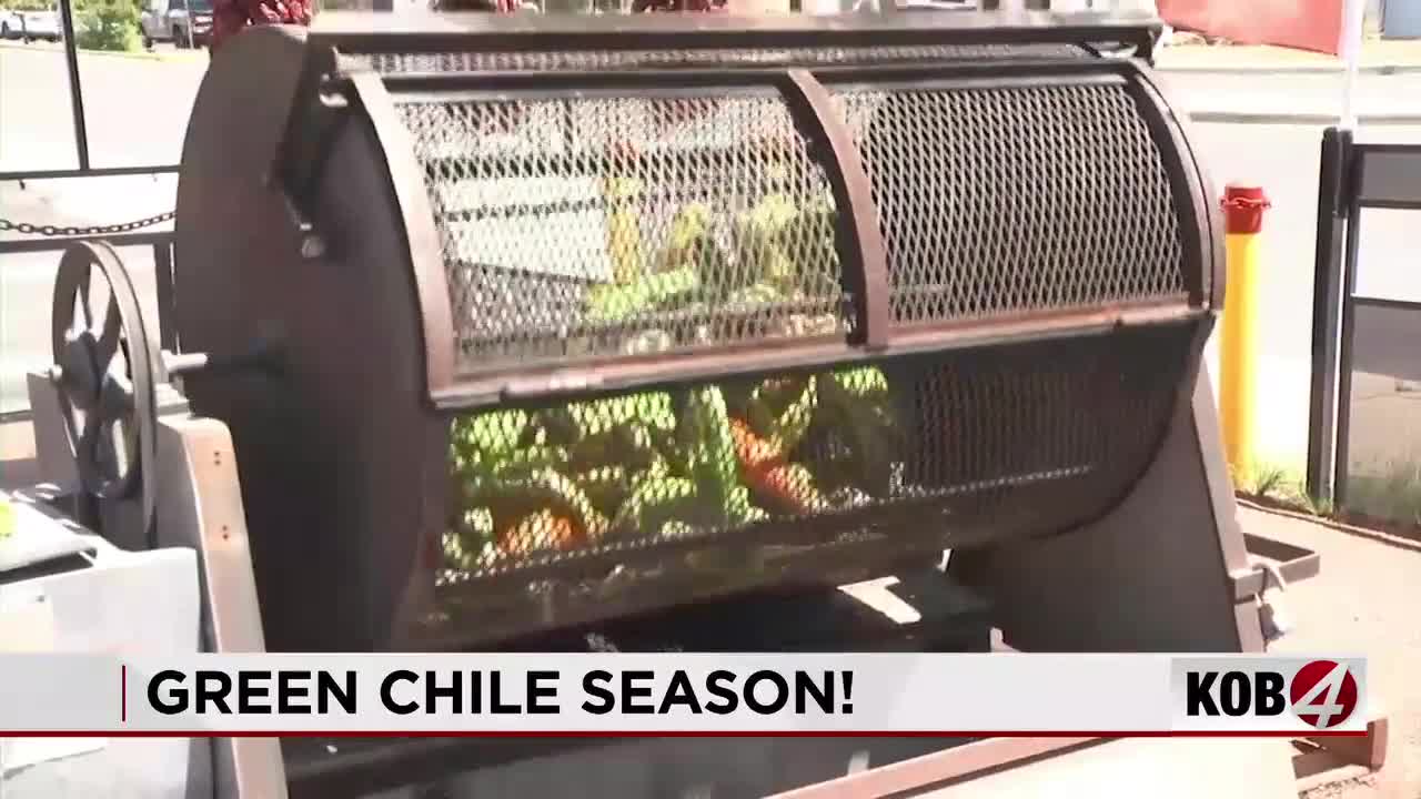 New Mexico green chile researchers explore how to make it more disease-resistant