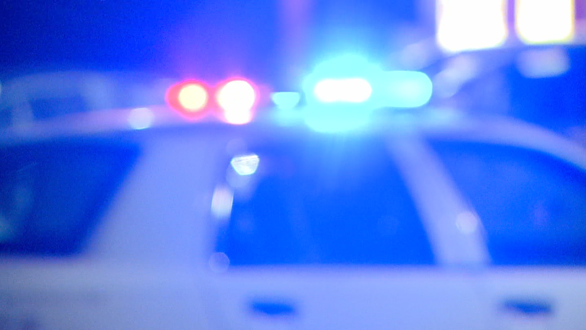 Newborn found in Indy treeline; police seek mother - Indianapolis News | Indiana Weather | Indiana Traffic