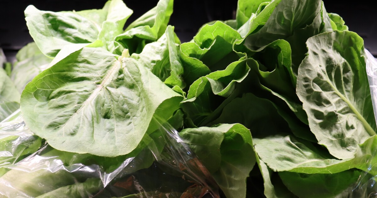 Nine cases of cyclospora tied to lettuce served at Cheshire Medical Center