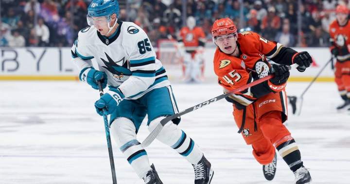 Oilers sign d-men Mukhamadullin, Statsney