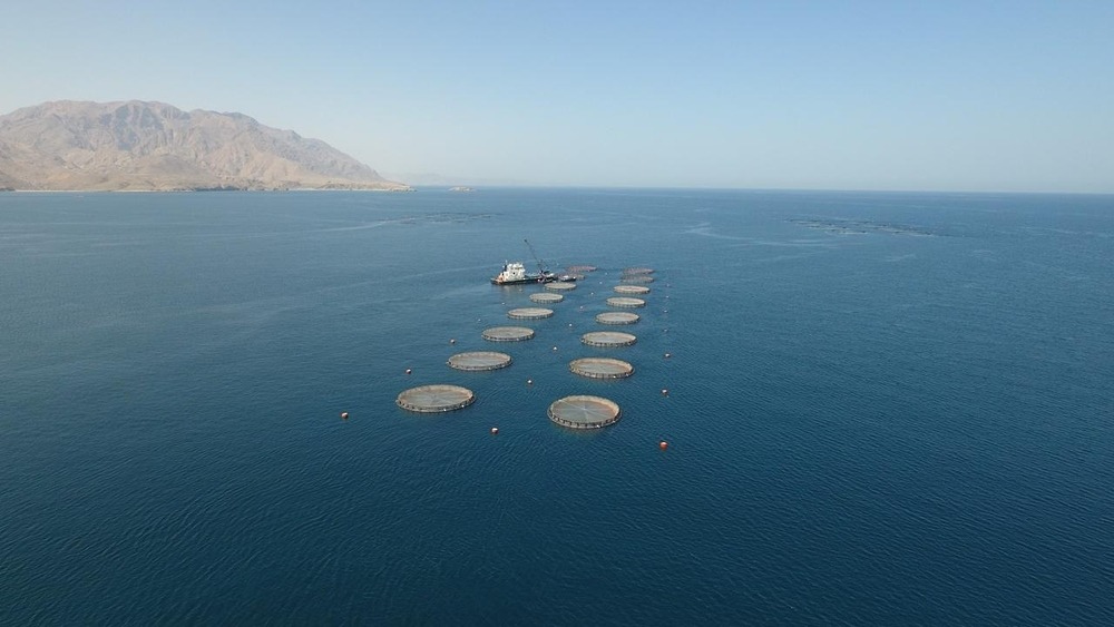 Oman’s Al Wusta expands blue economy investments to boost sustainable growth