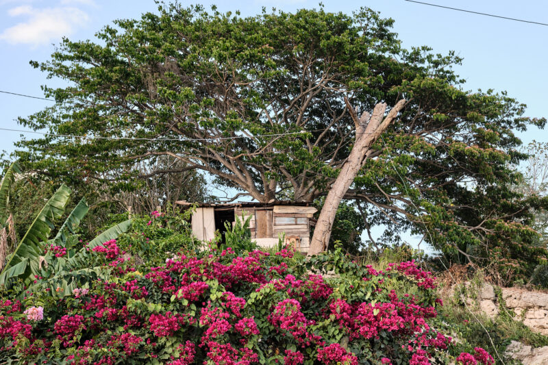 On The Outskirts of My City, Matanzas, Cuba