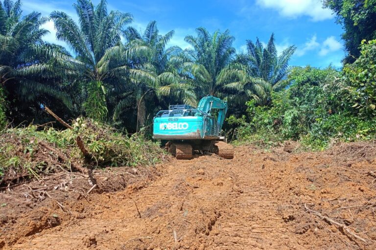 Palm oil expansion reignites decade-old Indigenous land conflict in Indonesia