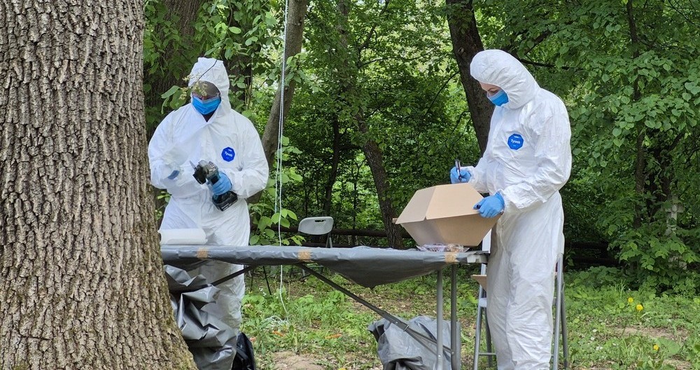 Poland uses DNA testing to identify victims of WWII Ukrainian massacres for first time
