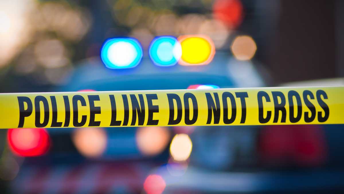 Police investigate a shopping mall shooting in suburban Detroit