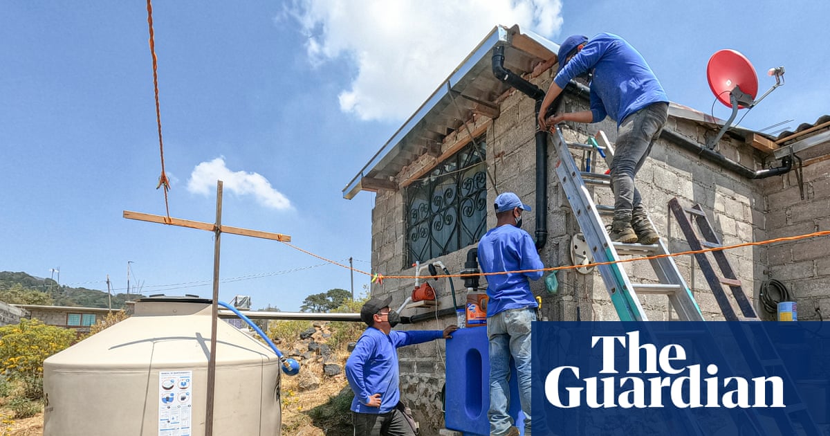 Prickly pears, avocados and lemons: how rainwater harvesting is feeding Mexico City’s gardens and homes | Global development