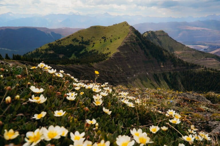 Proposed mine expansion raising pollution concerns in Canada and US