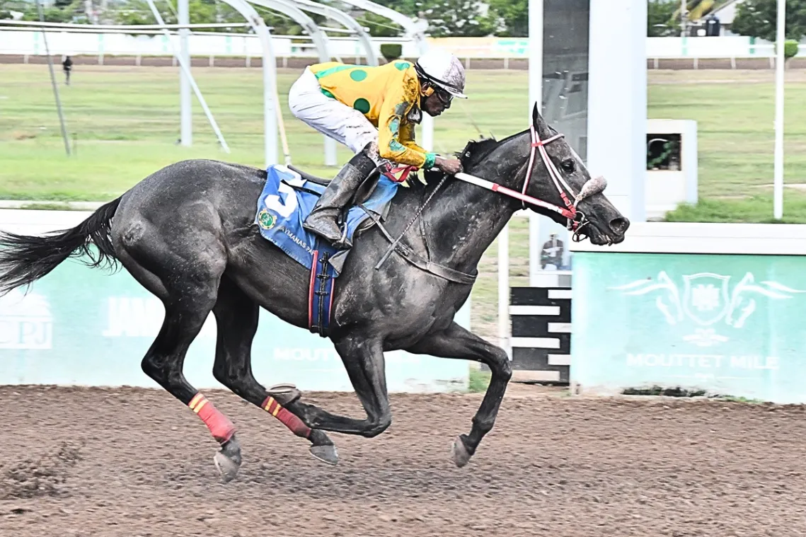 RIDE-ALL-DAY draws post-position 13 for Saturday's Diamond Mile