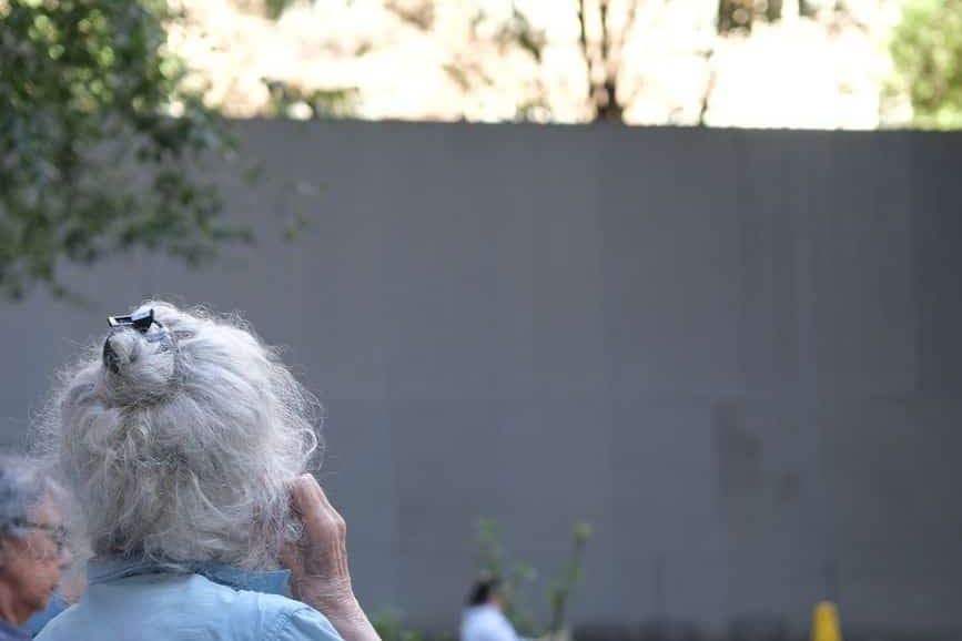 Recent Swiss heatwave causes fewer deaths than 2003